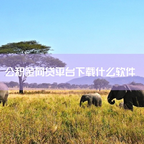 1.国美易卡：是目前最火的公积金贷款口子之一，可以为拥有公积金的朋友提供最高15万元的贷款，下款速度快，分期时间长，贷款利率低，有国美电器做靠山。
2.51人品贷：51人品贷是一个老牌公积金贷款网贷口,