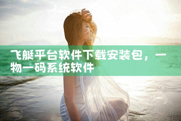飞艇平台软件下载安装包