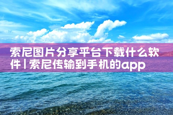 索尼图片分享平台下载什么软件