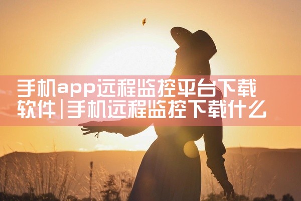 手机app远程监控平台下载软件