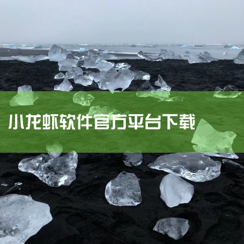 《小龙虾软件》是一款经过整理的软件资源,内容完整获取便捷,安装便捷运行稳定,兼容主流系统环境。内容架构完整,细节丰富充实,从开篇到结尾一气呵成,体验酣畅淋漓,使用过程中能够深入感受内容的魅力与价值。资,