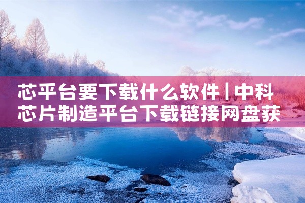 芯平台要下载什么软件