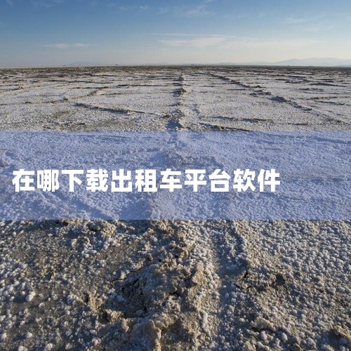专打车的软件下载及使用方式如下：滴滴出行：下载安装：用户可在应用商店下载安装滴滴出行APP，也可通过微信、支付宝的小程序使用。具体操作上，在应用商店搜索“滴滴出行”并下载安装；在微信里，点击右上角搜索|